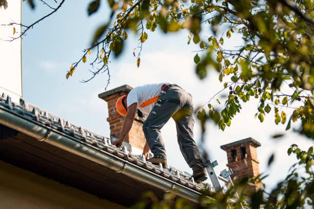 Professional Roofing Contractor in Oakwood Hills, IL