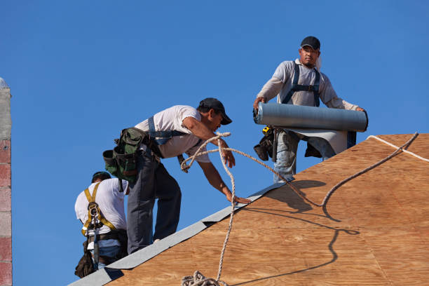 Best Roof Waterproofing Services  in Oakwood Hls, IL