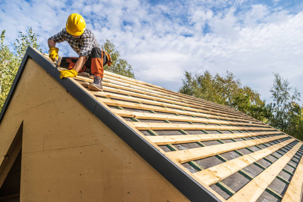 Best Roof Waterproofing Services  in Oakwood Hls, IL